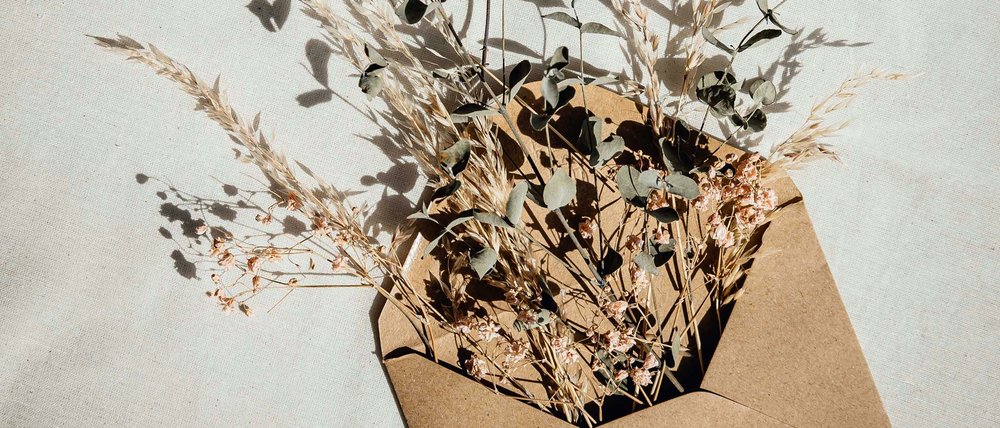 Der schnellste Weg zur Schmuggler Alm Der schnellste Weg zur Schmuggler Alm